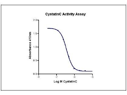Recombinant Human Cystatin C Graph