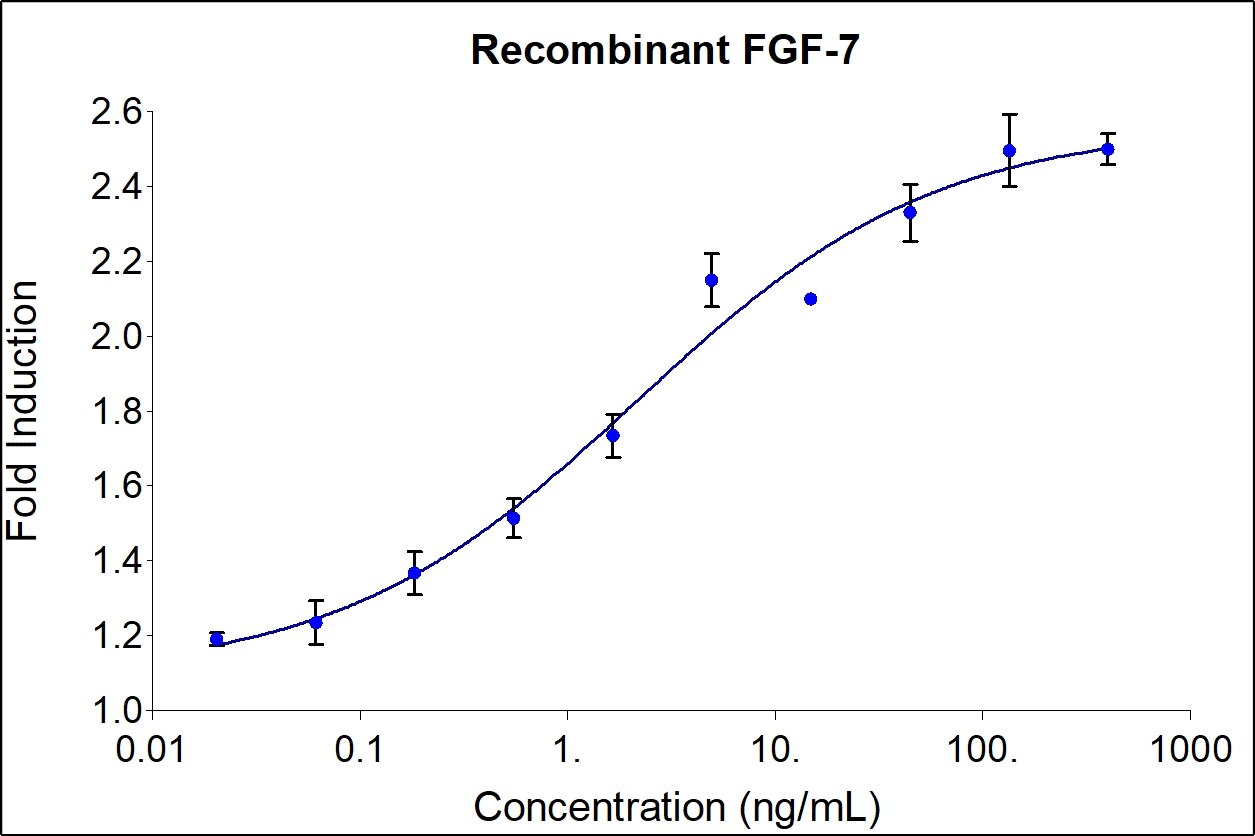 Recombinant Human FGF-7 Graph