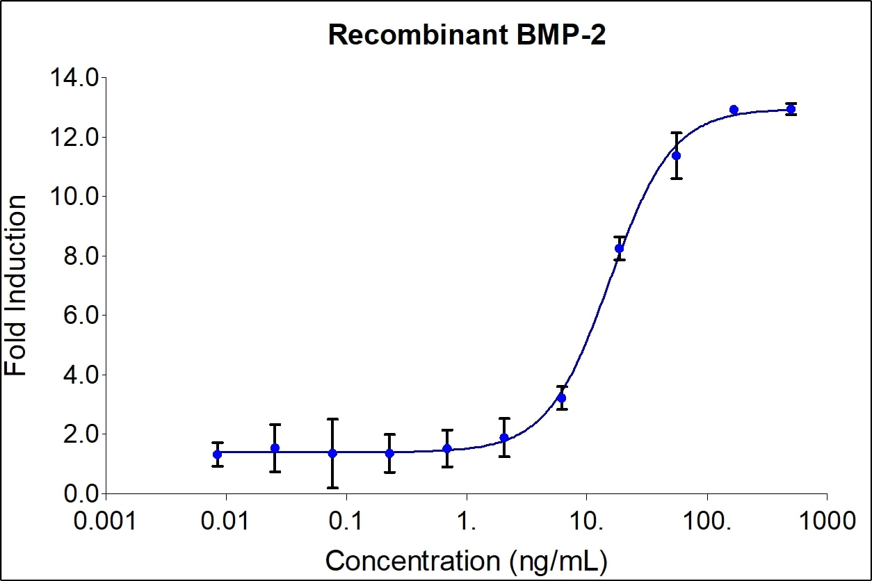 Recombinant Human BMP-2 Graph