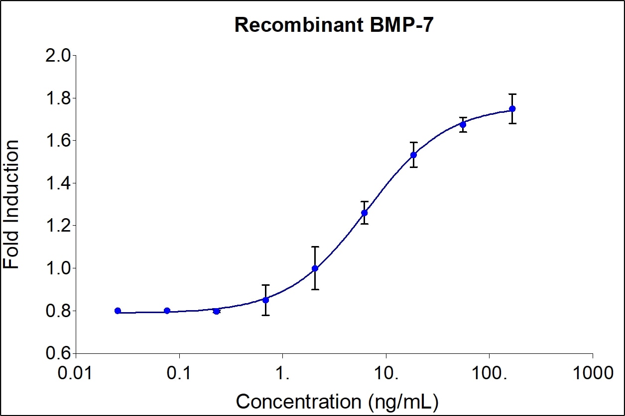 Recombinant Human BMP-7 Graph