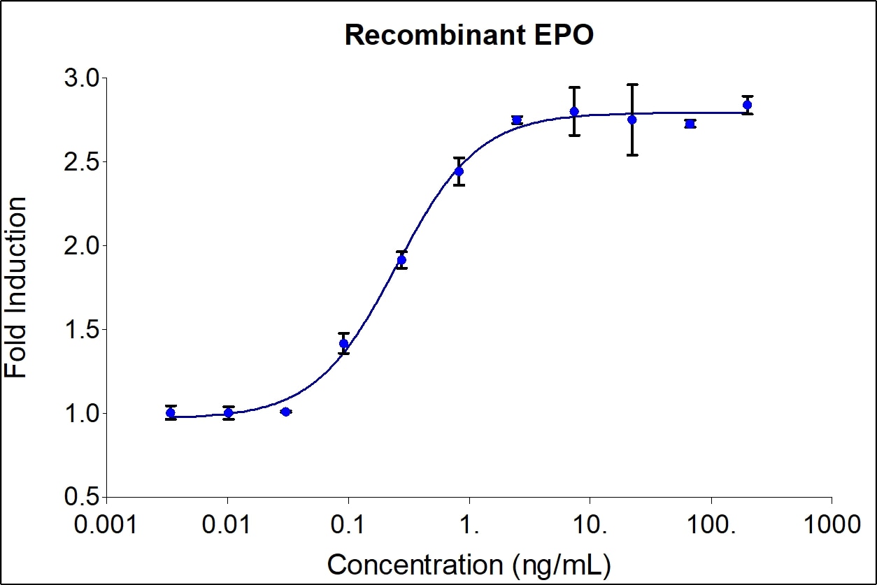 Recombinant Human EPO Graph