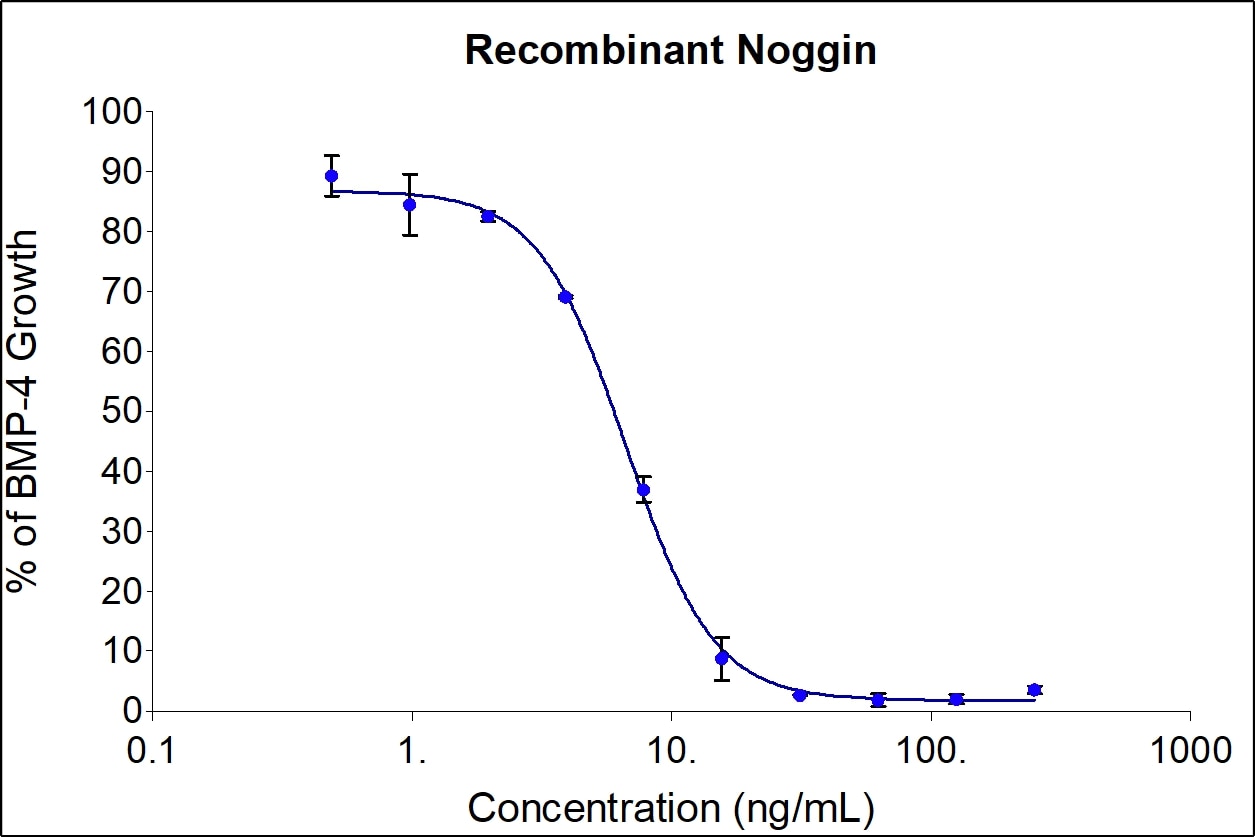 Recombinant Human Noggin Graph