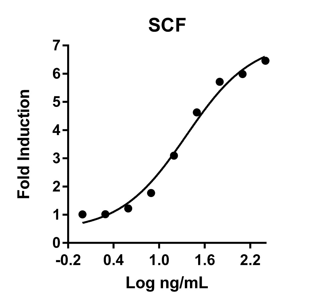 Recombinant Human SCF Graph