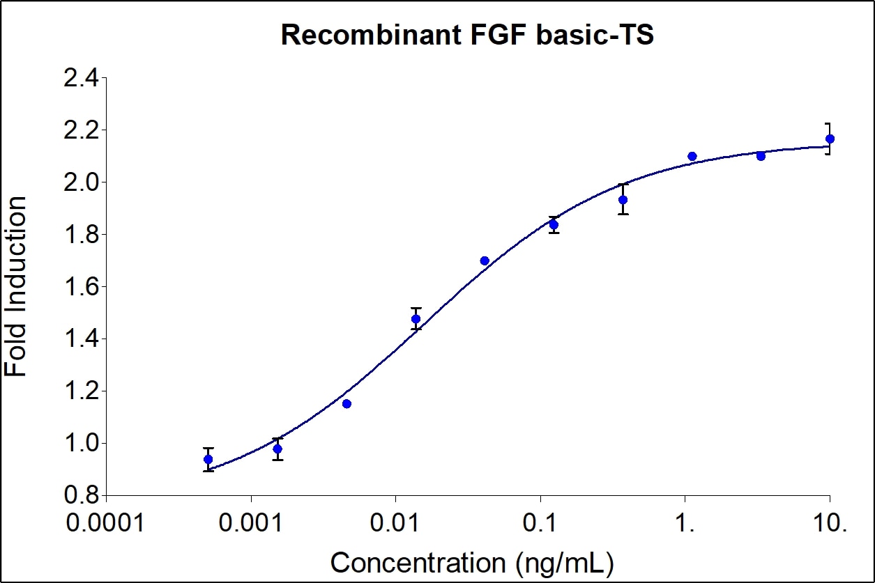 Recombinant Human FGF Basic-TS Graph