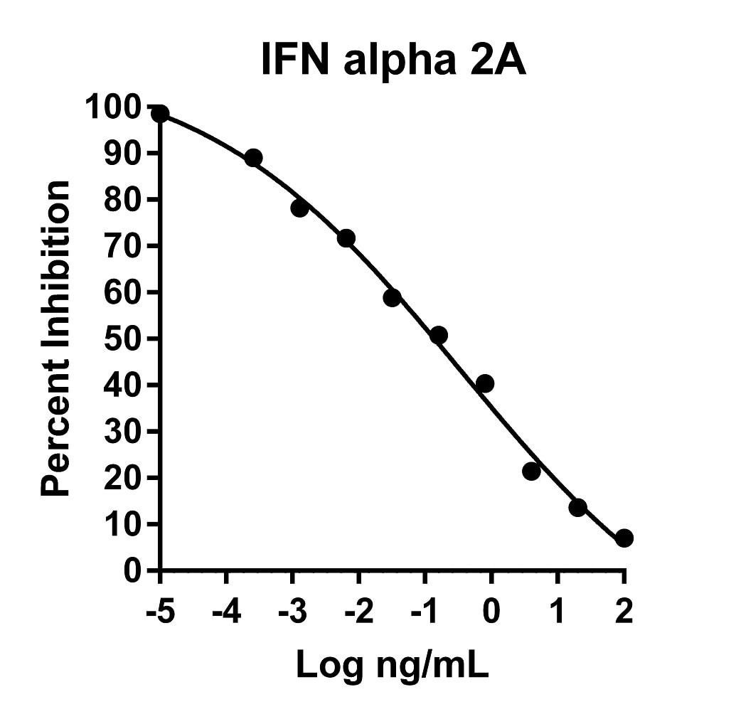 Recombinant Human IFN alpha 2A Graph