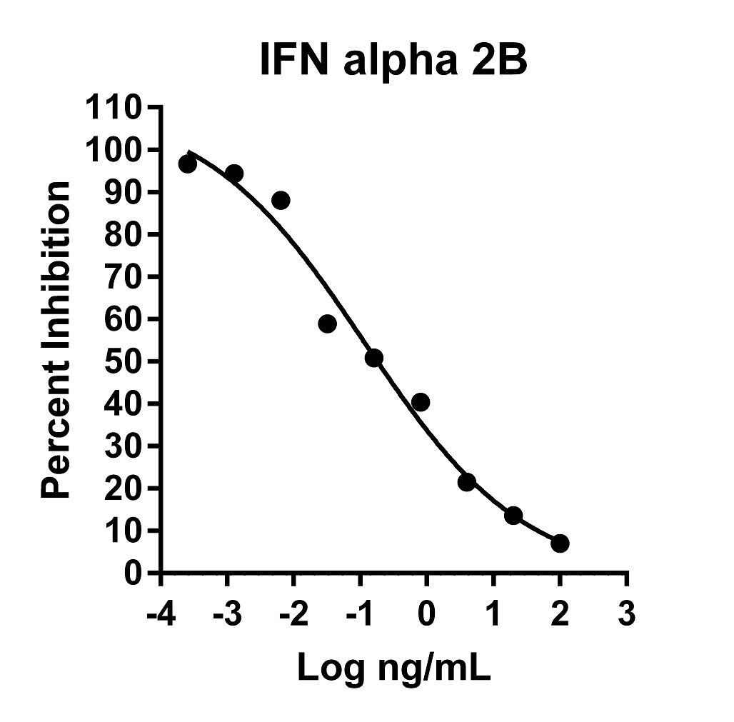 Recombinant Human IFN alpha 2B Graph