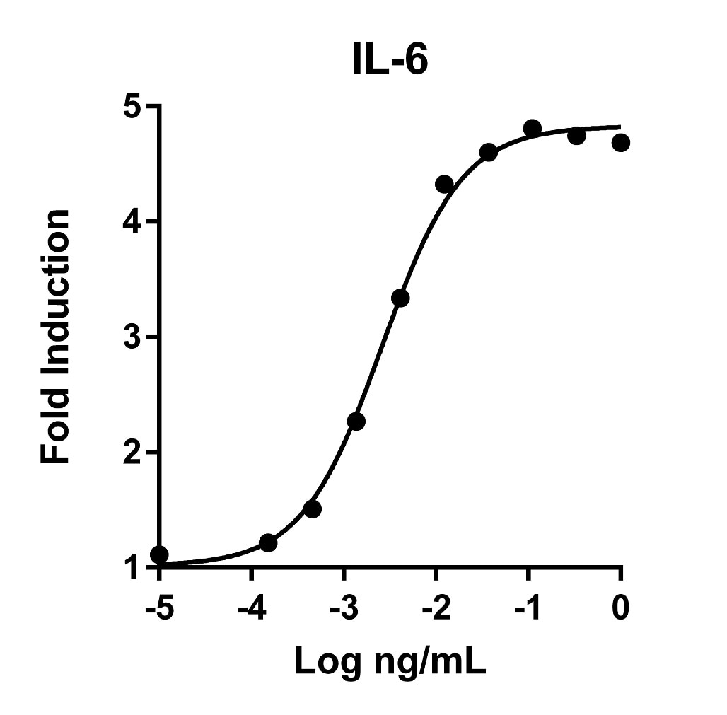 Recombinant Human IL-6 Graph