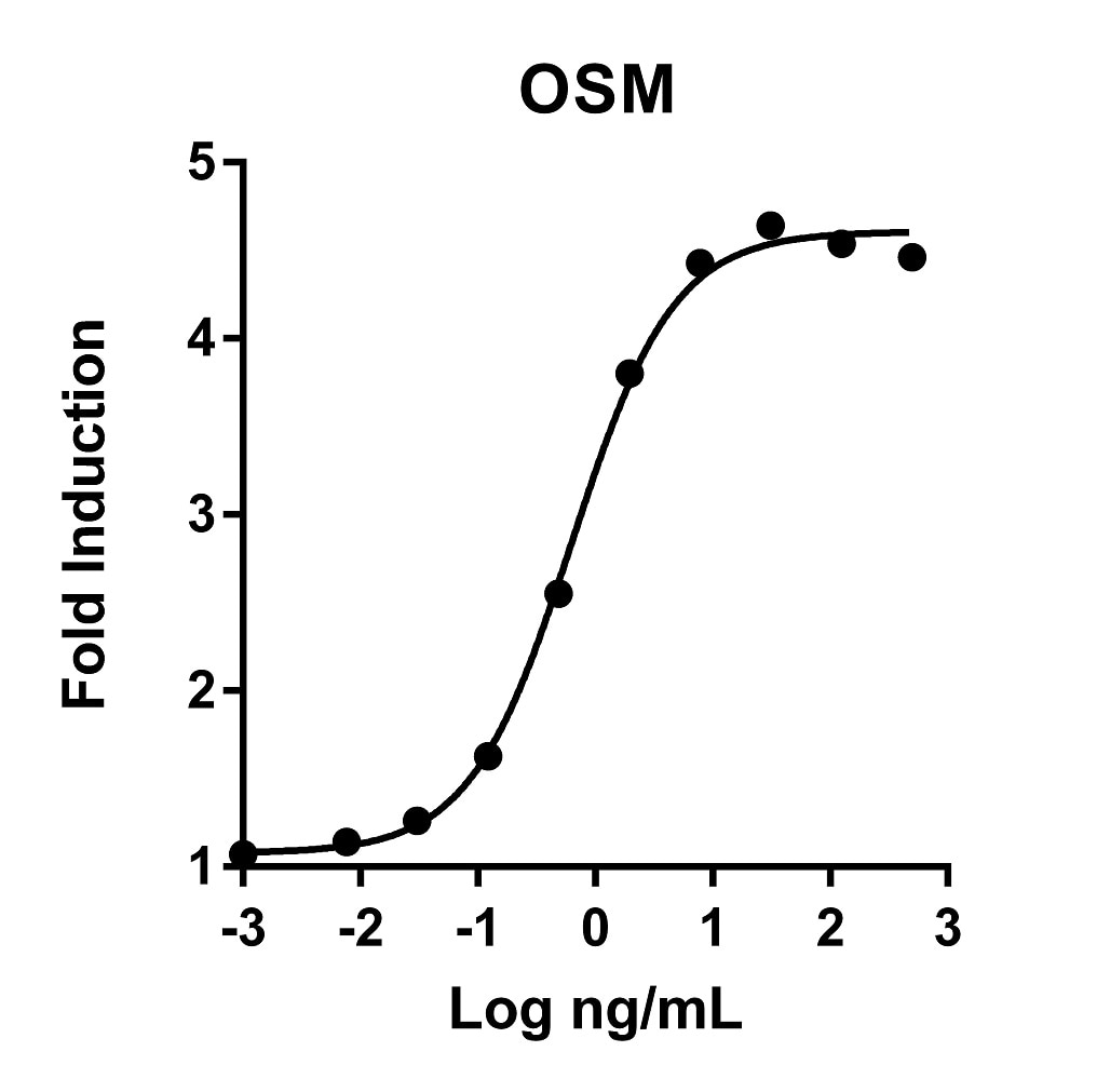 Recombinant Human OSM Graph