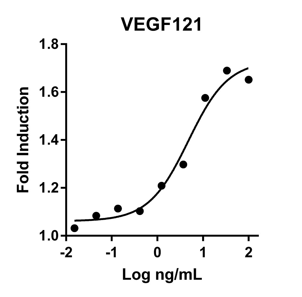 Recombinant Human VEGF121 Graph
