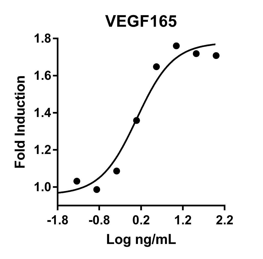 Recombinant Human VEGF165 Graph
