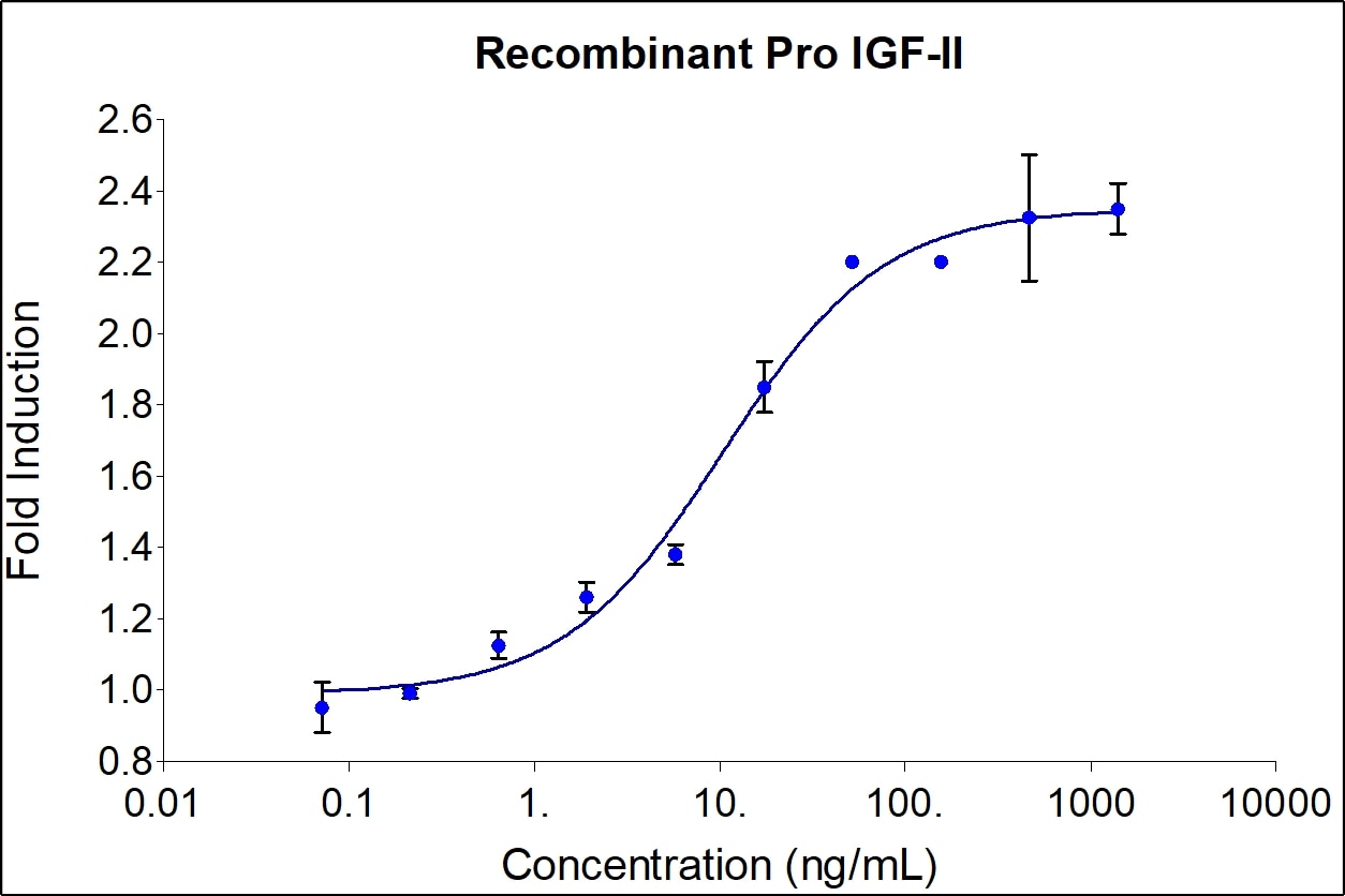 Recombinant Human pro-IGF-II Graph