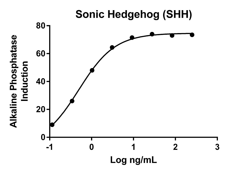 Recombinant Human SHH Sonic Hedgehog
